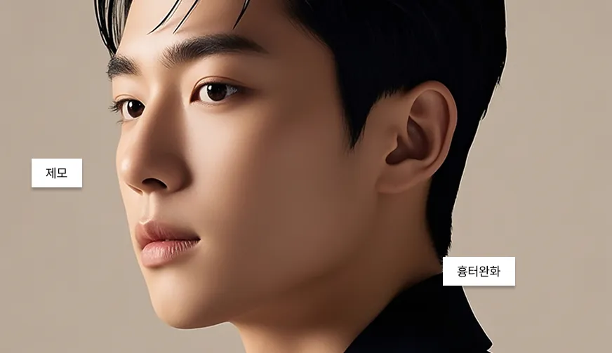 젠틀 맥스 프로 플러스